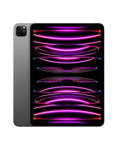 Apple iPad Pro 11" 2022 128GB WiFi M2 Chip Silver 4th Gen  Grey