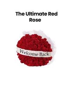 The Ultimate Red Rose | Red