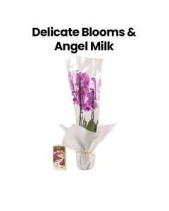 Delicate Blooms and Angel Milk | White/Light Pink