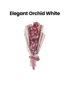 Elegant Orchid | White