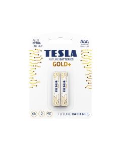 Tesla Alkaline AAA Gold+ Batteries LR3 1.5V – 2 Pack Long-Lasting Power for Remote Controls, Toys & Electronics | 8594183391120