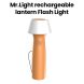 Mr. Light Flash Light | MR GD007 
